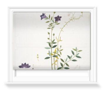 'Plate 626 Reeves Collection' Roller Blinds