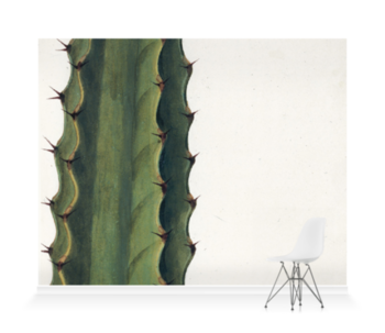 'Cactus' Wallpaper Mural