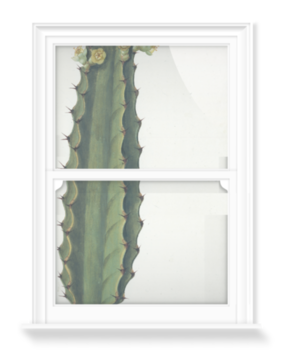 'Cactus' Decorative Window Film