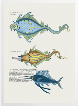 'Three Fish' Art Prints