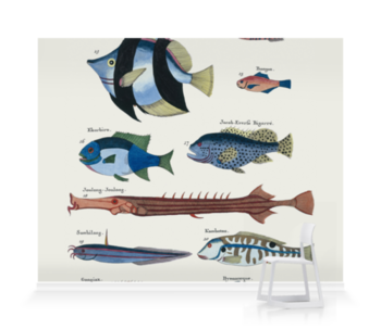 'Ten Fish' Wallpaper Murals