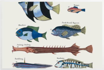 'Ten Fish' Art prints
