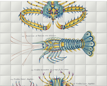 'Various Crustaceans' Ceramic Tile Mural