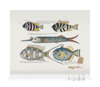 'Various Fish' Wallpaper Murals
