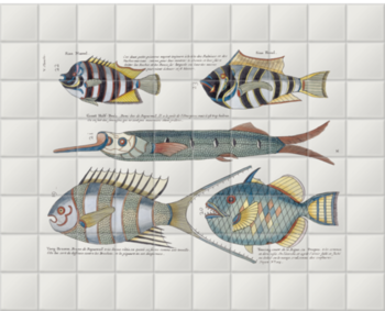'Various Fish' Ceramic Tile Murals