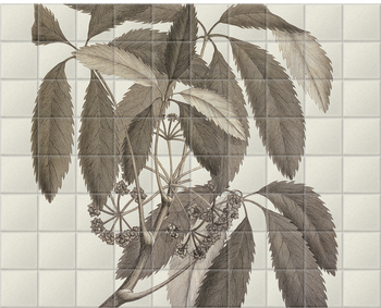 'Pseudopanax Arboreus' Ceramic Tile Mural