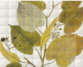 'Tillia Europaea' Ceramic Tile Murals