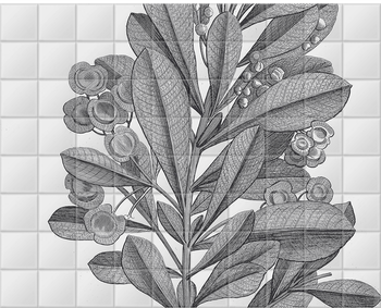 'Sloane Drawing II' Ceramic Tile Mural