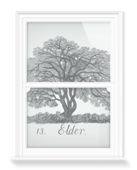 'Elder' Decorative Window Film