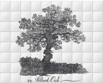 'Pollard Oak' Ceramic Tile Mural