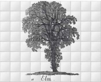 'Elm' Ceramic Tile Mural