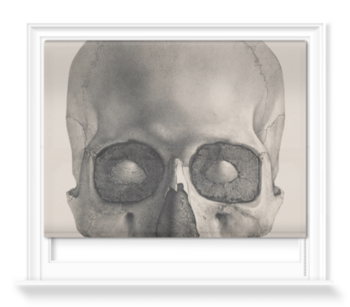 'Engraving of a human skull' Roller Blind