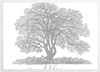 'Elder - Grey' Art prints