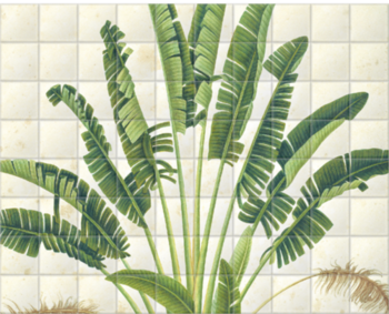 'Plant Illustration' Ceramic Tile Mural