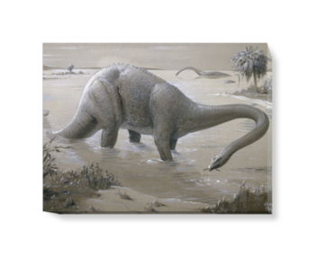 'Diplodocus' Canvas wall art