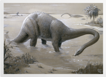'Diplodocus' Art prints
