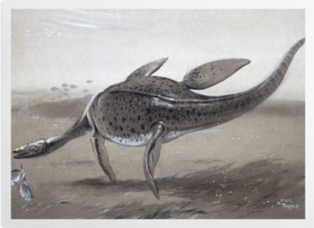 'Plesiosaur' Art prints