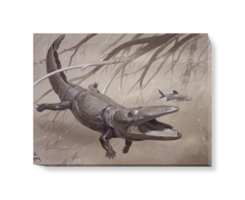 'Paracyclotosaurus' Canvas wall art