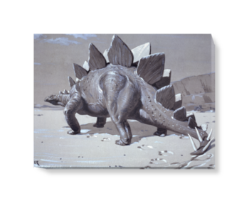 'Stegosaurus' Canvas wall art