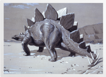 'Stegosaurus' Art prints