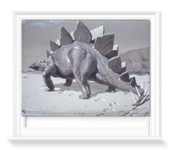 'Stegosaurus' Roller blinds