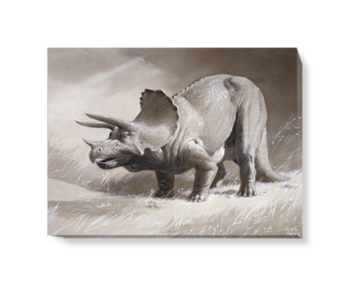 'Triceratops' Canvas wall art