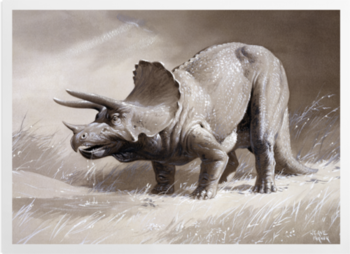 'Triceratops' Art prints