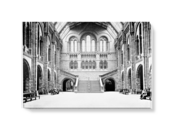 'The Central Hall of the Natural History Museum' Canvas wall art