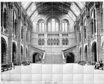 'The Central Hall of the Natural History Museum' Ceramic Tile Mural