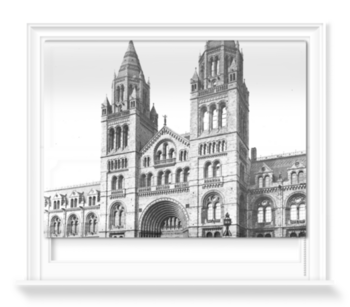 'The Natural History Museum, Exterior' Roller blinds