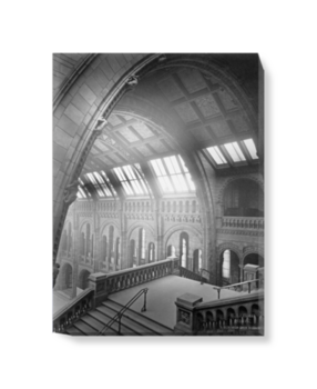 'The Central Hall of the Natural History Museum from the Botany Landing' Canvas wall art
