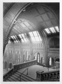 'The Central Hall of the Natural History Museum from the Botany Landing' Art prints