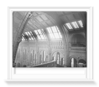 'The Central Hall of the Natural History Museum from the Botany Landing' Roller blinds