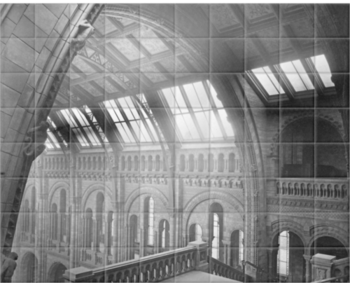 'The Central Hall of the Natural History Museum from the Botany Landing' Ceramic Tile Mural