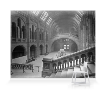 'The Natural History Museum Central Hall, Looking South' Wallpaper murals