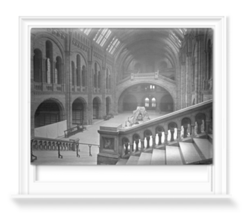 'The Natural History Museum Central Hall, Looking South' Roller blinds