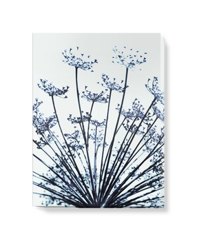 'Abstract Dill Flowers' Canvas Wall Art