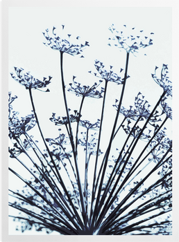 'Abstract Dill Flowers' Art Prints