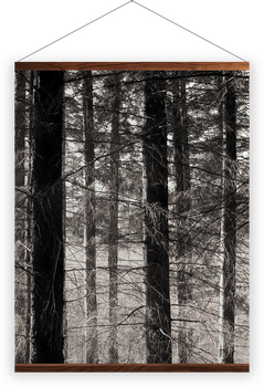 'Forest' Wall hangings