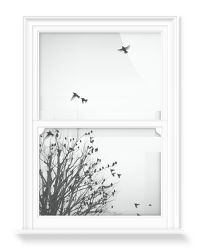 'Birds in Flight I' Decorative Window Films