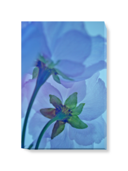 'Abstract Blue Blossom' Canvas Wall Art