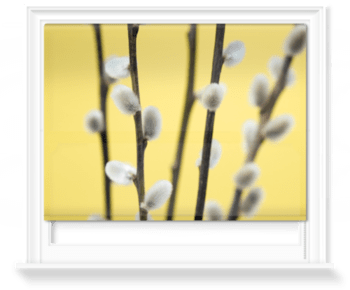 'Catkin on Yellow I' Roller Blind