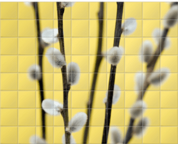'Catkin on Yellow I' Ceramic Tile Mural