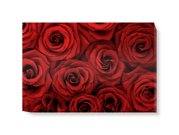 'Red Roses' Canvas Wall Art