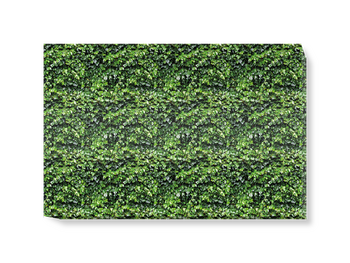 'Ivy Wall Garden Green' Canvas Wall Art