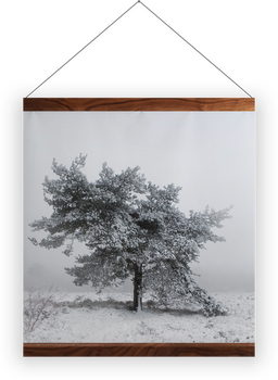 'Winter Trees' Wall Hangings