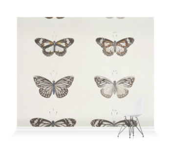'Butterflies' Wallpaper Mural