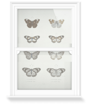'Butterflies' Decorative Window Film