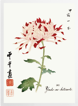'Yado-no-hitomoto' Art Prints