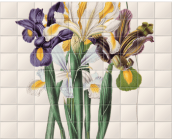 'Iris Xiphium' Ceramic Tile Mural